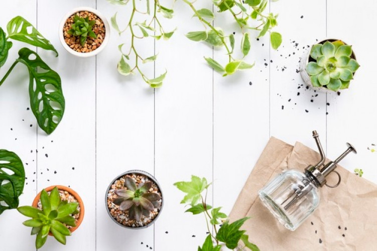 Example Event with YouTube Embed Code white-wooden-background-with-plants_53876-128841.jpeg