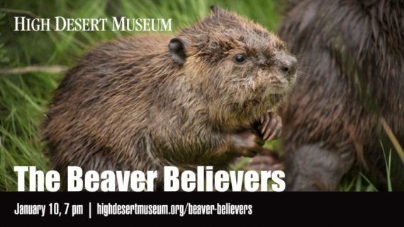 Beaver_Believers_Jan-1024x576-570x321.jpg