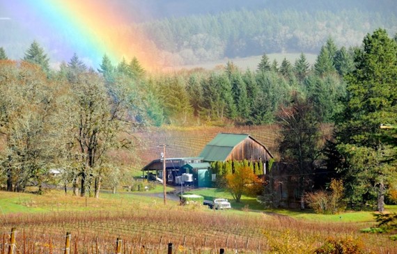 Brick-House-Wines.jpg
