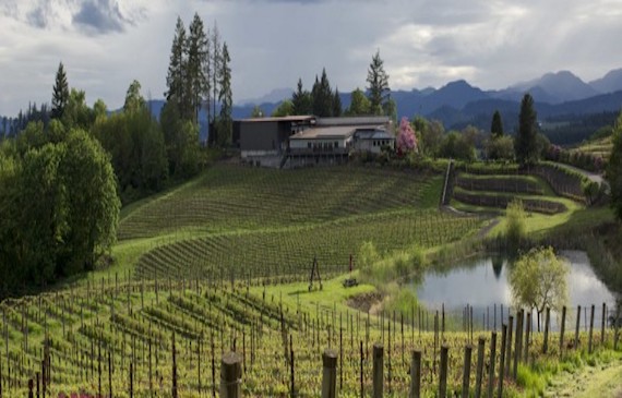 Elk-Cove-Vineyard.jpg