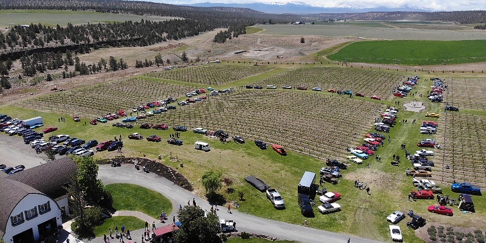 Wine "N' Shine Car Show.jpeg