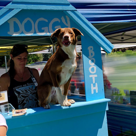 doggy-booth-570x570.jpg