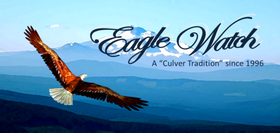 eagle-570x271.png
