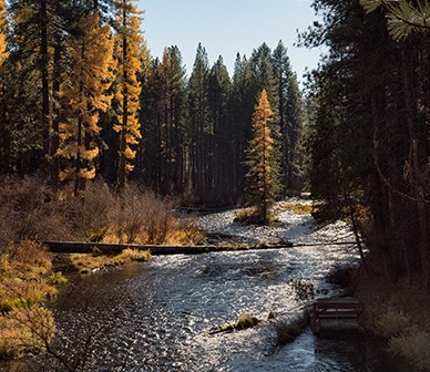 fall-colors.jpg