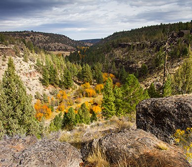 fall-colors1.jpg