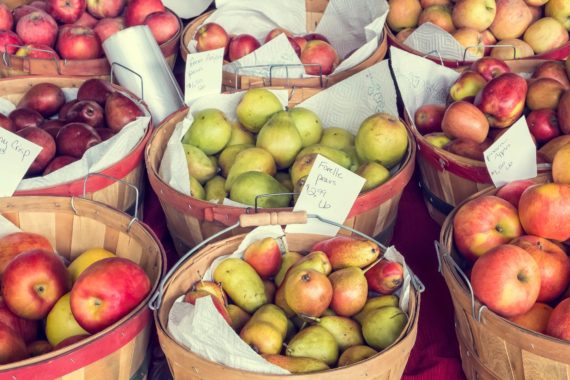 fall-festival-570x380.jpg