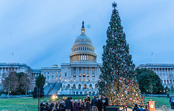 peoples-tree-960-570x365.jpg