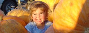 pumpkin-patch2-300x113.jpg